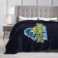 thumbnail image 4 of University of Delaware Logo Fleece Blanket, Very Soft Microfiber Flannel Blanket for Couch Warm and Cozy for All Seasons, 4 of 6