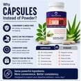 thumbnail image 4 of Truthentics Psyllium Husk Capsules 1080mg + Slippery Elm | Fiber Supplement for Digestive Health & Regularity | Aloe & Prebiotics | 120 Capsules (2-Pack), 4 of 10