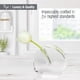 thumbnail image 3 of Vaso Bud Vase TIZO Design, transparente y elegante, redondo, de cristal grande, 3 of 6