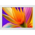 thumbnail image 2 of Stephen Chambers 14x11 White Modern Wood Framed Wall Art Titled - Flower17, 2 of 6