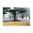 thumbnail image 2 of Gango Home Decor Bench II by Tammy Putman (Printed on Paper); One 36x24in Fine Art Paper Giclee Print, 2 of 4