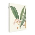 thumbnail image 2 of Trademark Fine Art 'Soft Tropical II' Canvas Art by George Smith, 2 of 4