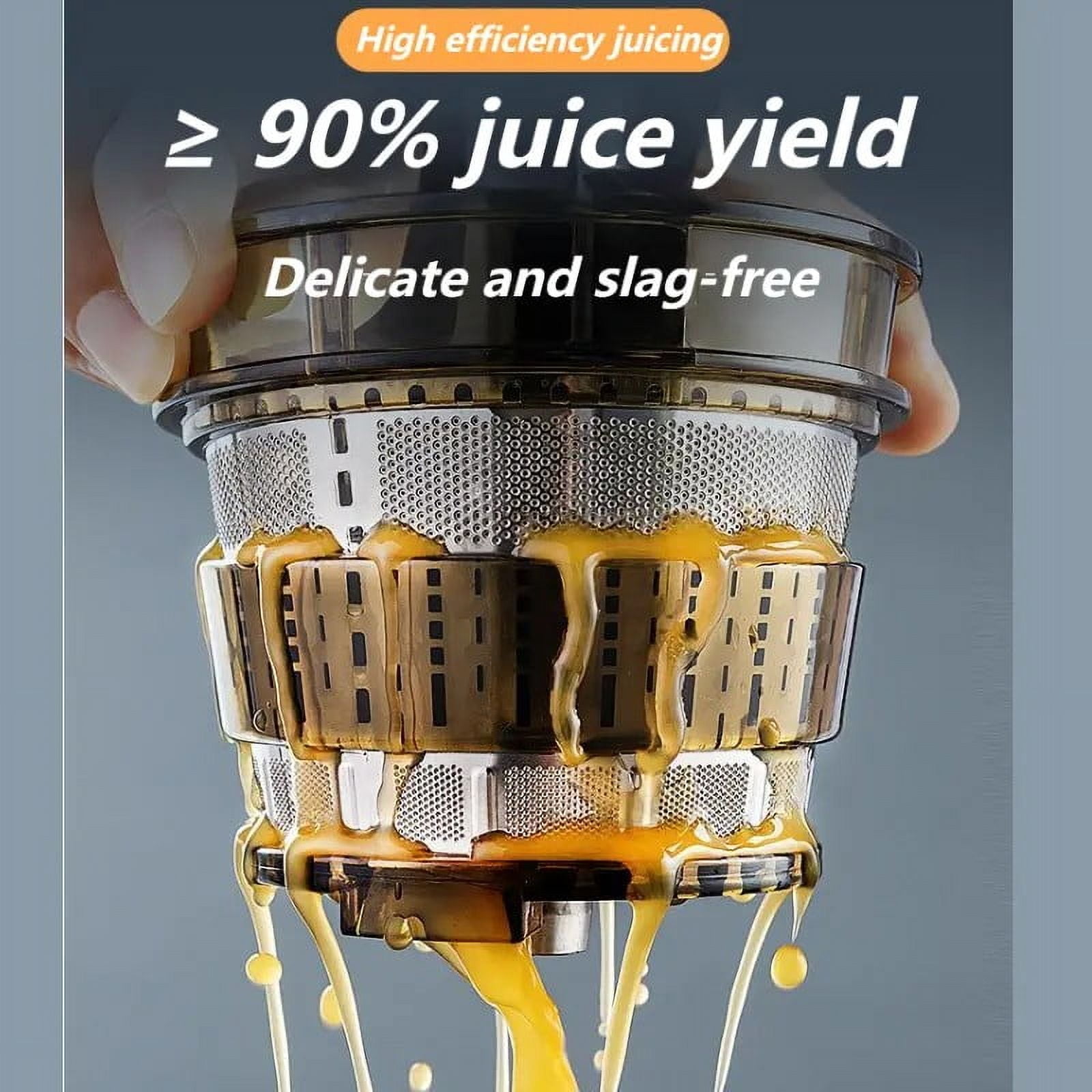 Guirla Premier Cold Press Juicer