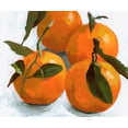thumbnail image 2 of Barnes, Victoria 30x26 White Modern Wood Framed Museum Art Print Titled - Citrus Grouping II, 2 of 4