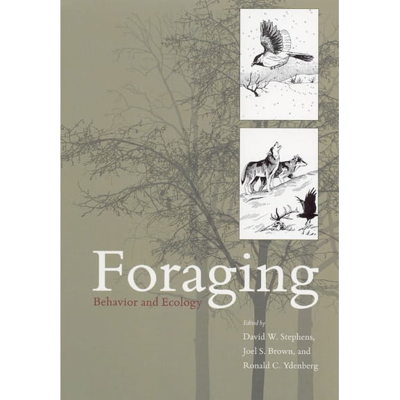 Foraging : Behavior and Ecology (Paperback)