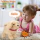 thumbnail image 3 of Peluche parlante Koonie Golden Retriever para niños, 3 of 7