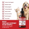 thumbnail image 2 of Cranberry Supplement for Dogs - Cranberry Extract for Dogs - Urinary Tract and Bladder Support - Kidney and Urine pH Support - Liquid Drops for Dogs and Cats - Bacon Flavor - 2 oz, 2 of 6