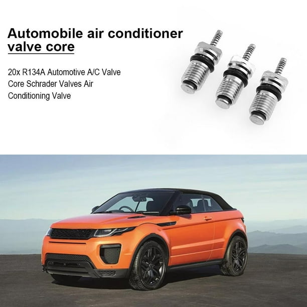 Núcleos de válvula de refrigerante de aire acondicionado automotriz para coche 20 piezas R134a Ndcxsfigh Accesorios para autos y motos