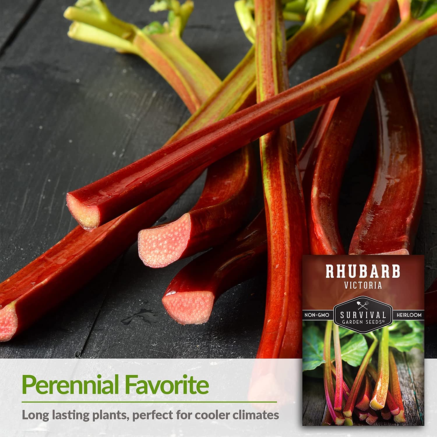 2 Packs Victoria Rhubarb Seeds - Non-GMO Heirloom Full Sun Perennial Vegetable - image 3 of 6