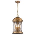 thumbnail image 1 of Four Light Hanging Lantern, 1 of 1