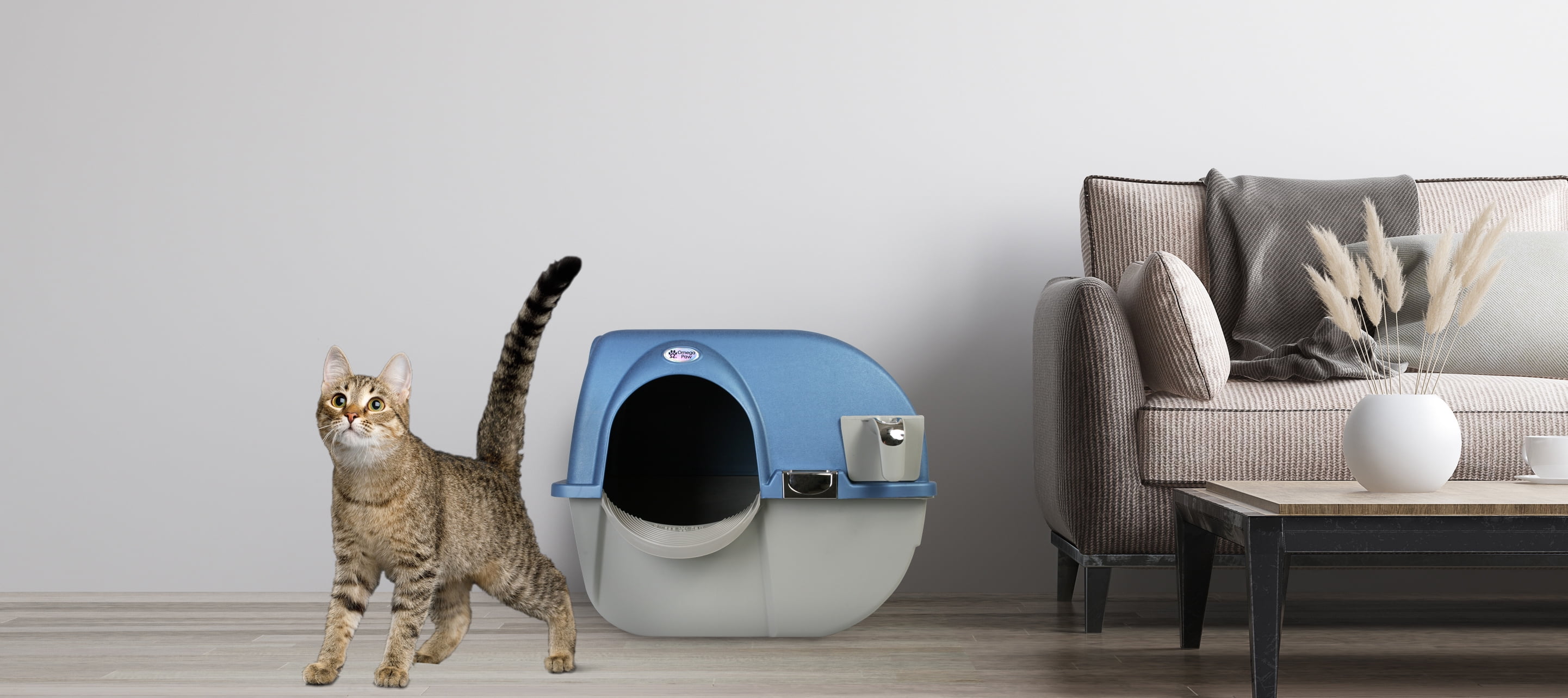bredde økologisk Hensigt Buy Omega Paw Premium Roll 'n Clean Self Cleaning Cat Litter Box, Large  Online in USA. 611488970