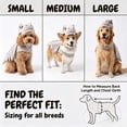 thumbnail image 4 of Pet Dinosaur Costume,Dog Skeleton Costume, Glow In The Dark Dino Series, Soft Plush Stretchy Fabric, Halloween Party Cosplay Outfit, 1 Pc, 4 of 8