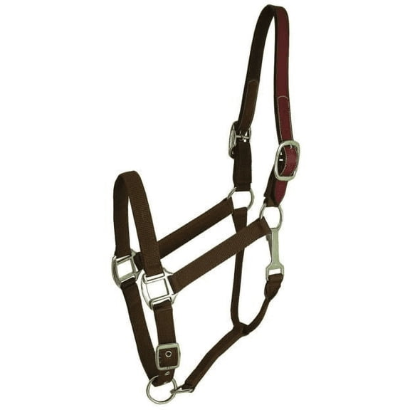 Gatsby Nylon Breakaway Halter Horse Brown