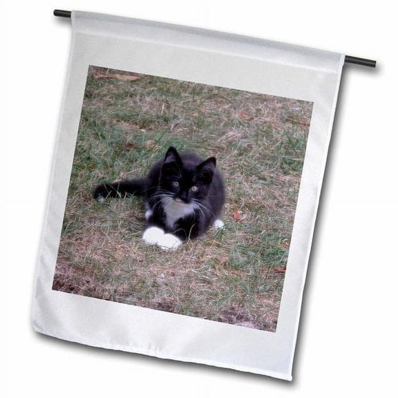 3dRose, Black and White Kitten Sitting in the Grass with Paws Together, 18 x 27 inch Garden Flag