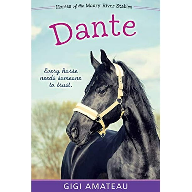 schweizisk Trænge ind Forestående Dante: Horses of the Maury River Stables, Pre-Owned Paperback 0763687545  9780763687540 Gigi Amateau - Walmart.com