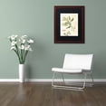 thumbnail image 3 of Trademark Fine Art "Aromantique IV" Canvas Art by Lisa Audit, Black Matte, Wood Frame, 3 of 4