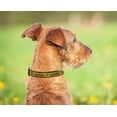 thumbnail image 3 of Collar Ajustable para Perros y Gatos Pets First NHL Boston Bruins Grande para Fanáticos del Hockey, 3 of 6