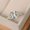 White, variant on Women Cubic Zircon Ring Women Jewelry Two Tone 925 Silver Ring Sz 6-10