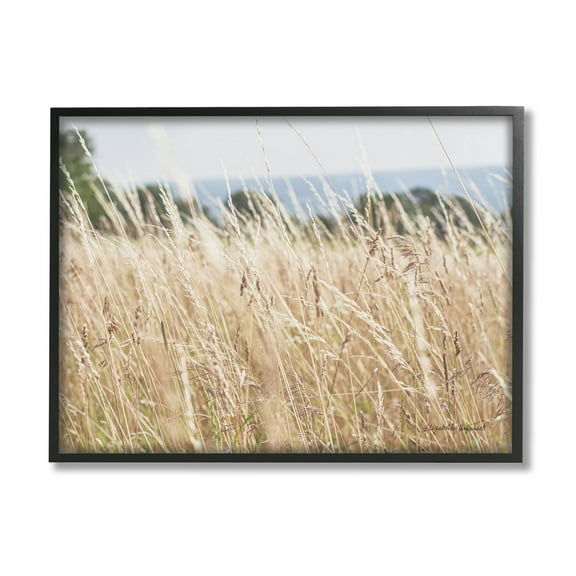Stupell Industries Rural Wheat Field Spring Breeze Photograph Black Framed Art Print Wall Art, Design by Elizabeth Urquhart