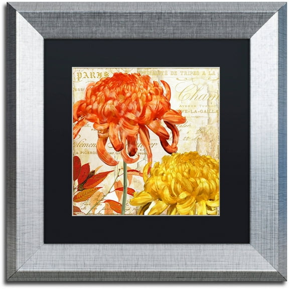 Trademark Fine Art "Chrysanthemums I" Canvas Art by Color Bakery Black Matte, Silver Frame