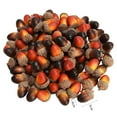 thumbnail image 6 of 50Pcs/Set 3cm Artificial Acorn Decor Fake Nutty Craft Acorns Acorn with Natural Acorn Cap Fruit Props Simulation Mini Acorns for Fall Home Kitchen Decor Autumn Thanksgiving, 6 of 8