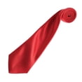 thumbnail image 2 of Premier  Adult Colours Satin Tie, 2 of 2