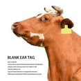thumbnail image 3 of Livestock Ear Tag, Plastic Precise 100 Piece Flexible Lightweight Blank Tags  for Pigs for Cows, 3 of 8
