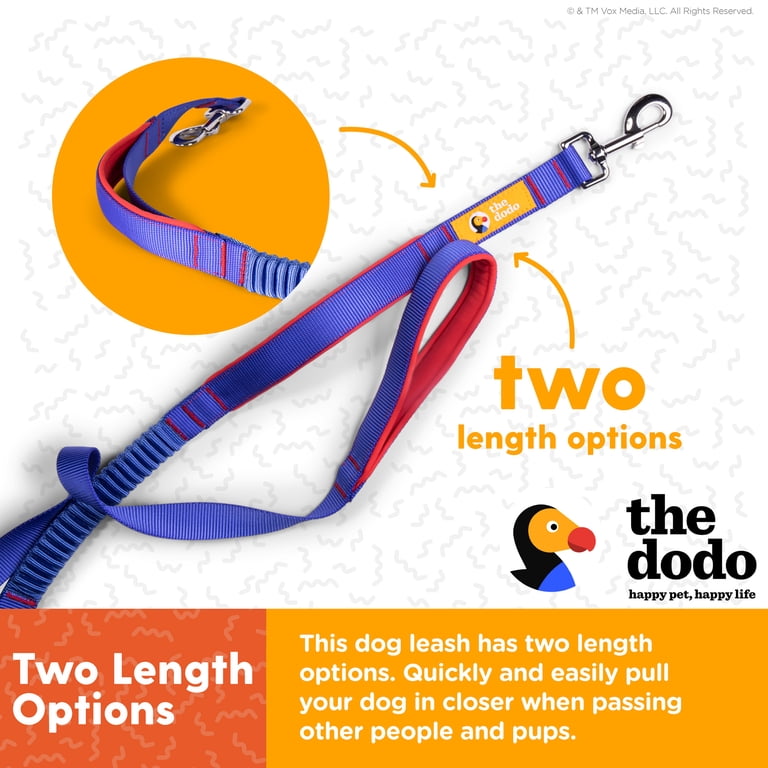 DF Co. Bungee Dog Leash – Shock-Absorbing, Neoprene Padded Handle, Heavy-Duty Clip For Training & Control (Hi-Vis Orange, Regular)