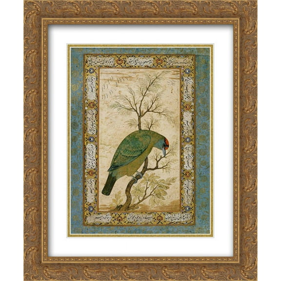 Ustad Mansur 2x Matted 20x24 Gold Ornate Framed Art Print 'A Barbet (Himalayan blue-throated bird)'