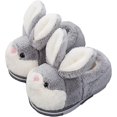 thumbnail image 1 of Pantuflas cálidas de felpa de algodón para el hogar para niños, 1 of 5
