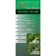 Fiesta Selective PostEmergent Turf Weed Killer 1 Gallon Herbicide