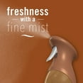 thumbnail image 3 of Febreze Air Mist, Odor-Fighting Air Freshener, Sea Salt Caramel & Maple, 8.8 oz. Aerosol Can, 3 of 13