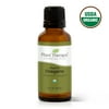 Plant Therapy Organic Oregano Essential Oil 100% Pure, USDA Certified Organic, Undiluted, Natural Aromatherapy, Therapeutic Grade 30 mL (1 oz)