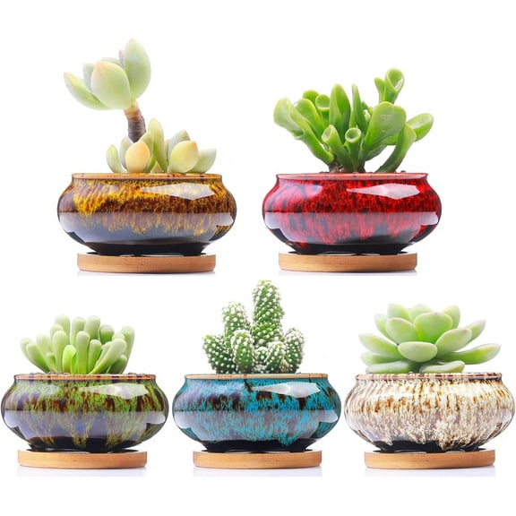 Cute Ceramic Succulent Garden Pots, Planter with Drainage and Attached Saucer, Set of 5 -Plants Not Included