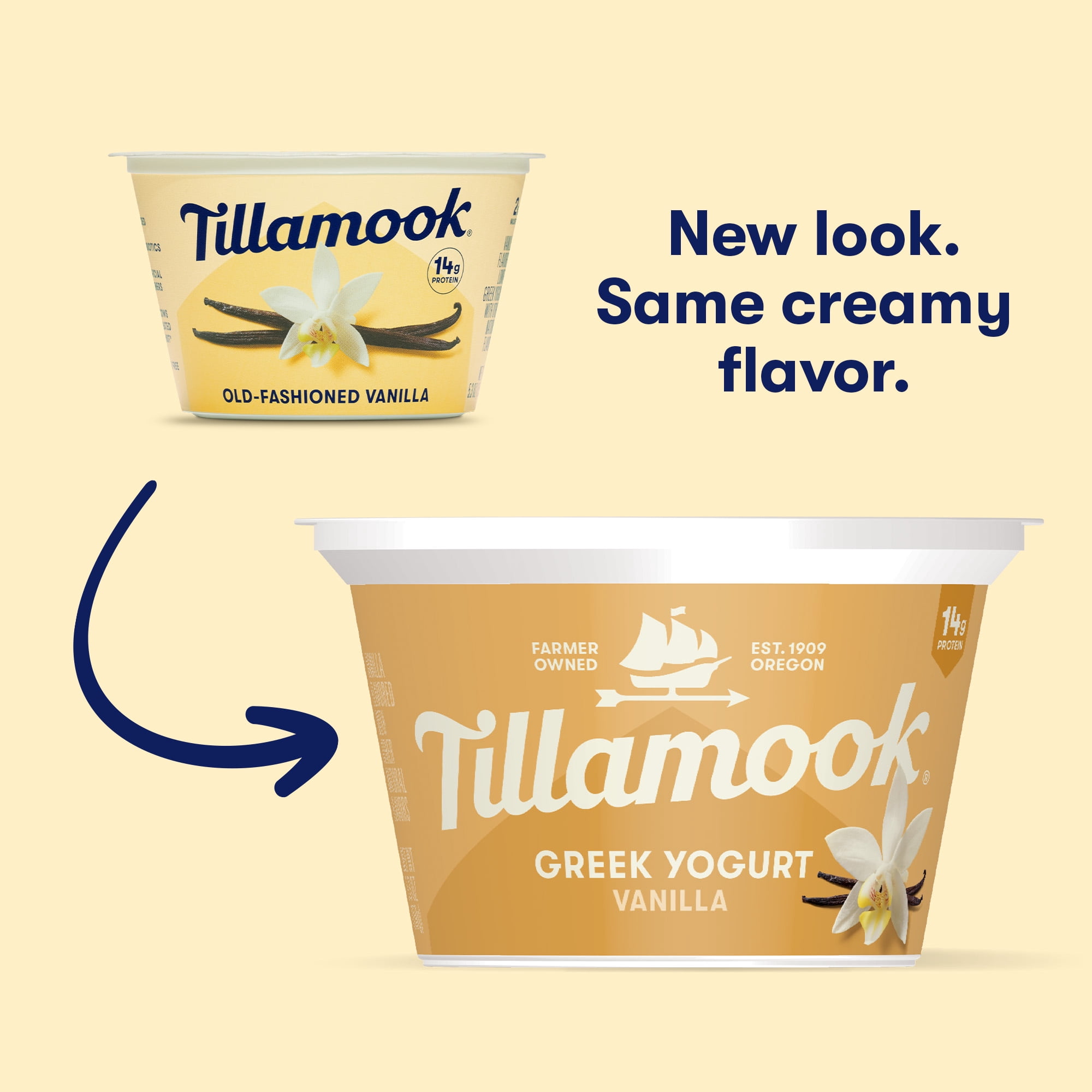 Tillamook Vanilla Low Fat Greek Yogurt, 14g Protein per Serving, 5.3 oz
