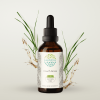 HerbEra Couch Grass Tincture, Herbal Dietary Supplement for Urinary Health Support, Couch Grass (Elymus repens) Dried Root Extract, Natural, Alcohol-Free, Drops 2 oz