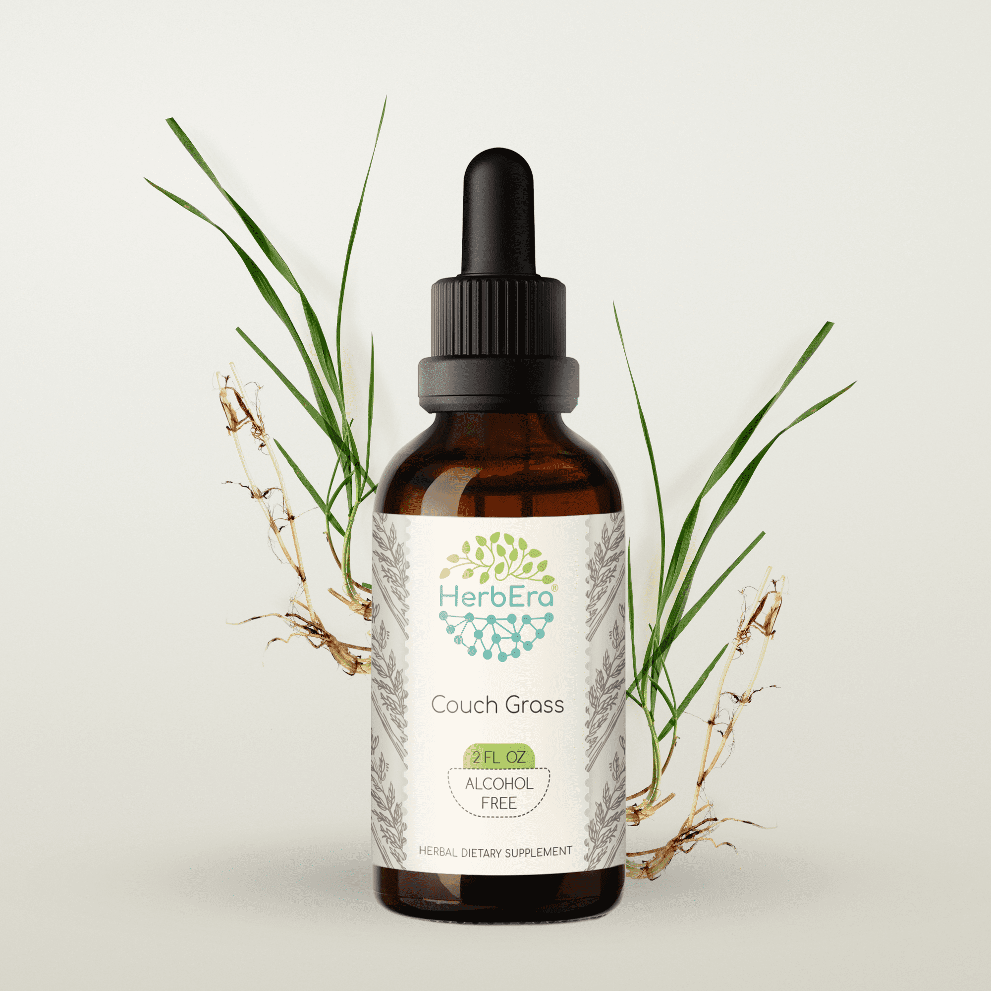 HerbEra Couch Grass Tincture, Herbal Dietary Supplement for Urinary Health Support, Couch Grass (Elymus repens) Dried Root Extract, Natural, Alcohol-Free, Drops 2 oz