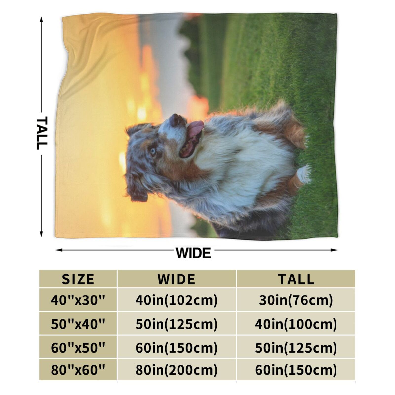 Wijzvio Australian Shepherd Dog Throw Blanket Soft Fuzzy Fleece Blanket For Couch Bed Living Room Decoration 60"X50"