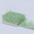thumbnail image 4 of Rongfmy 1 Yard Dyed Ostrich Feather Fringe Ribbon Embellishment Light green, 4 of 7
