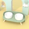 thumbnail image 5 of Happy & Polly Bone China Elevated Double Bowl Set, Green, 5 of 7