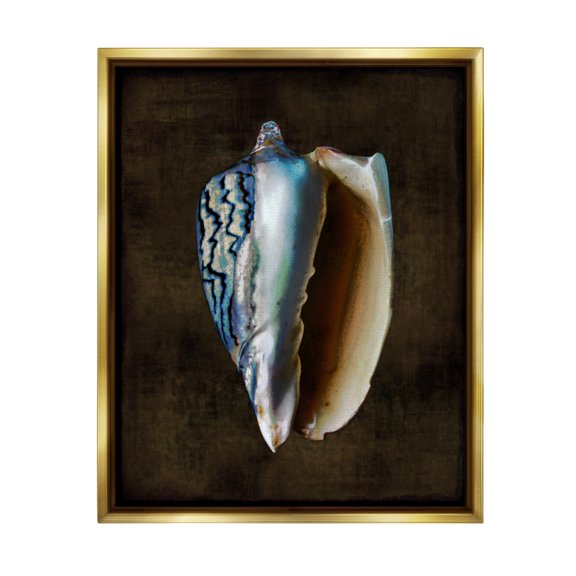 Stupell Industries Conch Shell on Black Nature Painting Gold Floater Framed Art Print Wall Art, 17 x 21