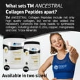 thumbnail image 4 of TM ANCESTRAL Collagen Peptides | Unflavored | Supports Healthy Bones, Joints, Skin, Hair, Nails, & Gut | Type I & III Collagen with Nutrients Required for Collagen Synthesis | 286g (14 servings), 4 of 5
