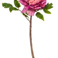 thumbnail image 2 of Tallo de peonía rosa artificial Vickerman 42 cm, paquete de 3, 2 of 2