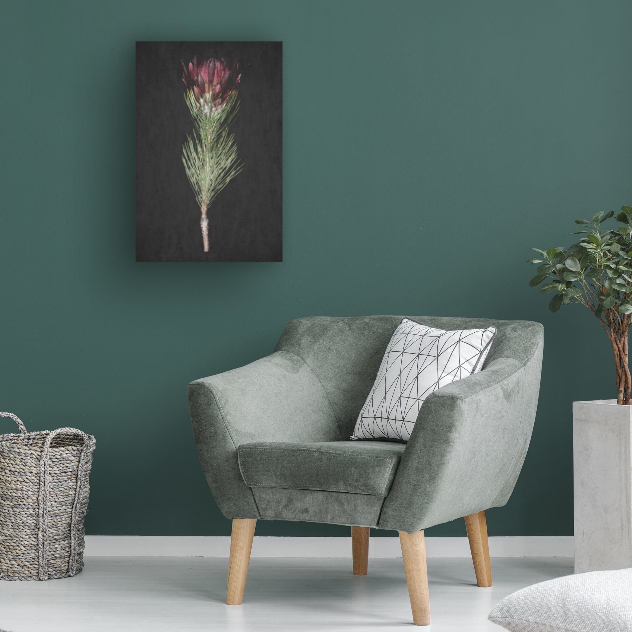 Trademark Fine Art Shot by Clint Protea Canvas Wall Art