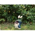 thumbnail image 2 of GNOME DOING HANDSTAND (HI-LINE EXCLUSIVE), 2 of 5