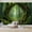 Color 4, variant on Wallpaper Misty Black White Forest Landscape Dense Trees Fog Peel and Stick Wall Murals 100"H x 144"W Removable PVC Wall Paper Self-Adhesive Wall Paintings Art Decor for Bedroom Living Room
