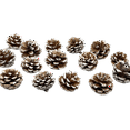 thumbnail image 3 of Black Duck Brand Assorted Pinecone Christmas Table Scatter! Glitter Frosted Winter-Themed Pinecones Perfect for Decorating for The Holiday Season! (15, Snow Tipped), 3 of 5