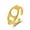 Gold, variant on Womens Geometric Alloy Ring European and American Fashion Jewelry Retro Oval Pig Nose Ring Electroplated Individually