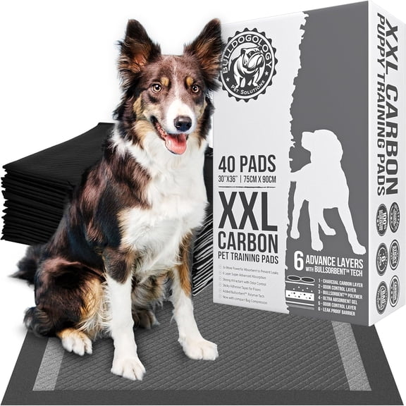 Bulldogology Charcoal XXL Pee Pads for Dogs (30x36) Puppy Pee Pads with Adhesive Sticky Tape - Leak Proof Charcoal Puppy Pads - Ultra Absorbing Charcoal Dog Pads - (40-Count)