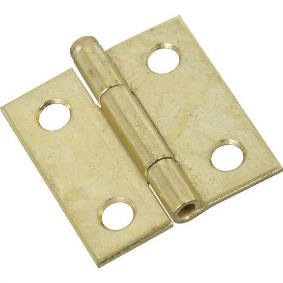 1.5 in. Removable 2 Pin Hinge, Brass